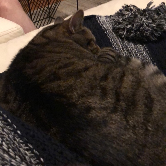 Meet your Posher, Marissa - Picture 1 of 1